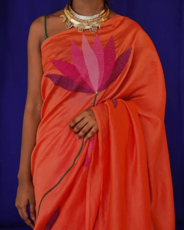 AMBUJA - Image 3