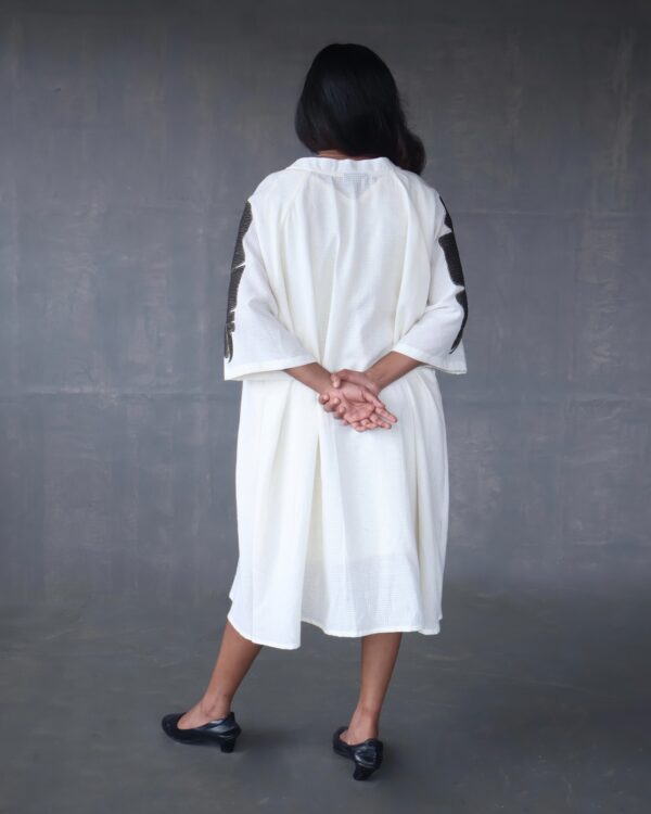 ILAA - Image 3